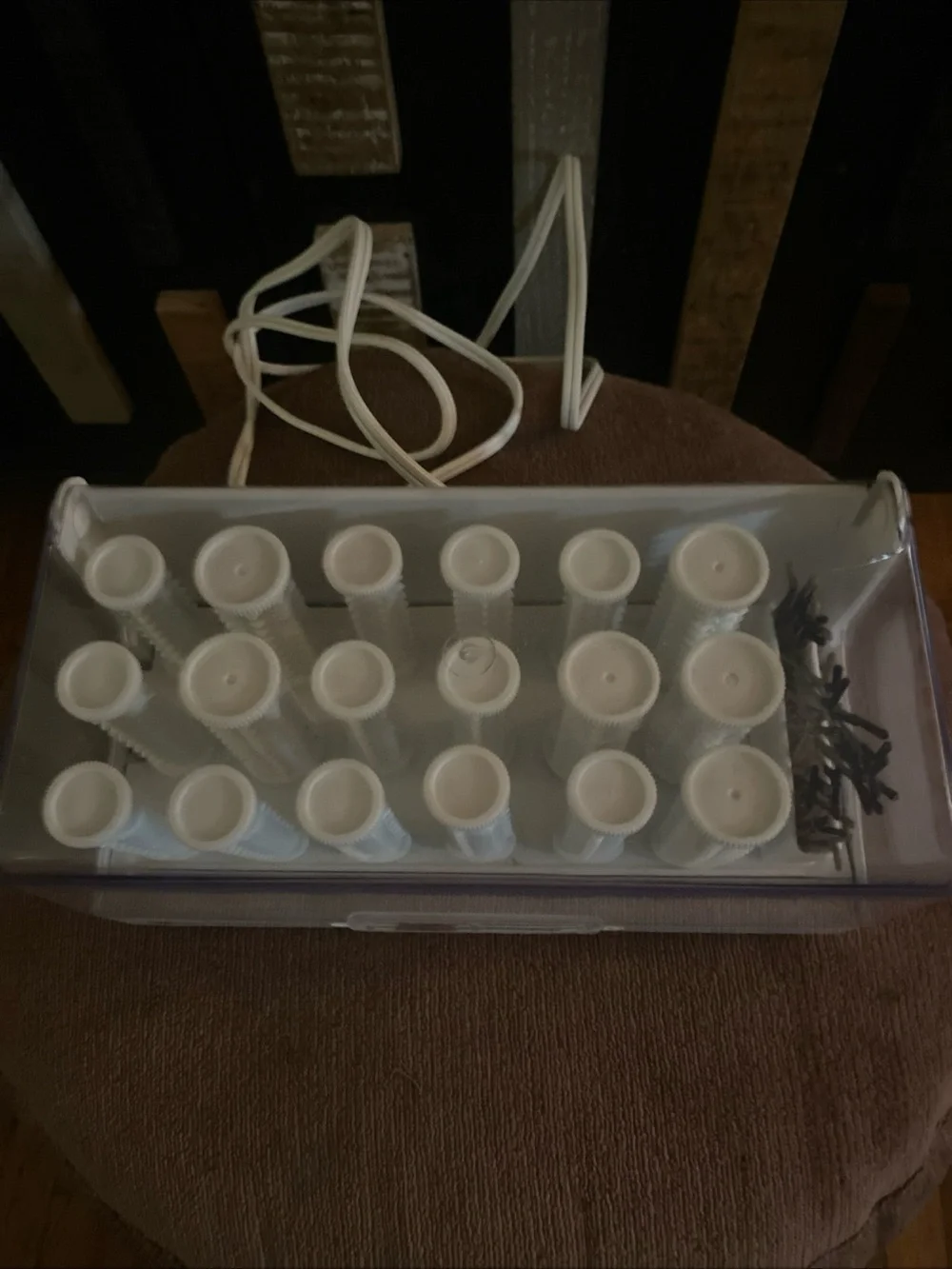 Vintage White Hot Roller Set with Clear Storage Case